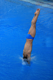 国际泳联世界跳水赛
