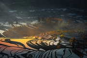 《走遍中国》——元阳梯田大地的艺术