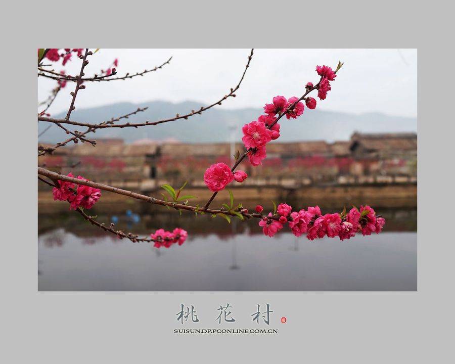 һ塿