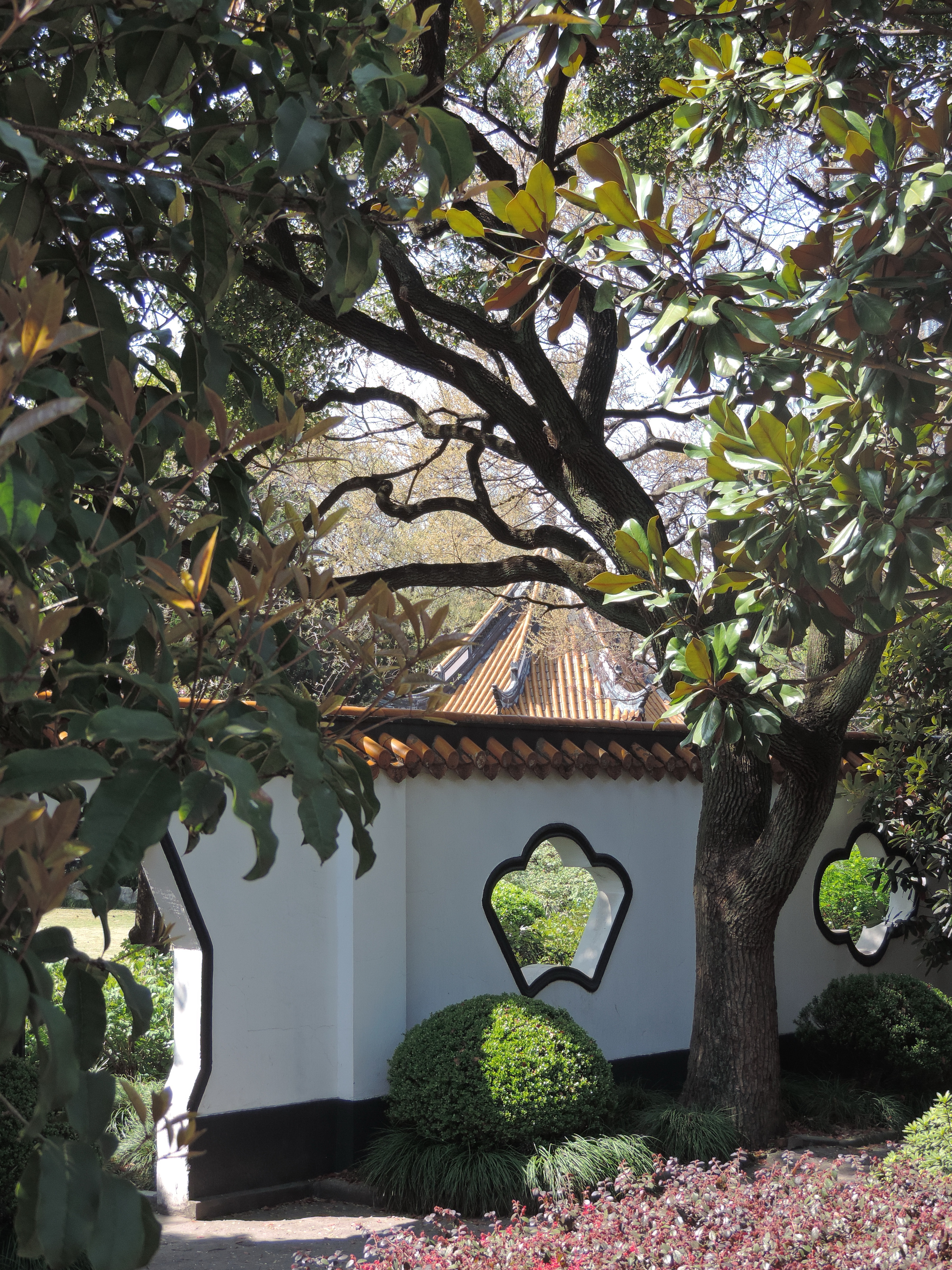 漕溪公園小景一組