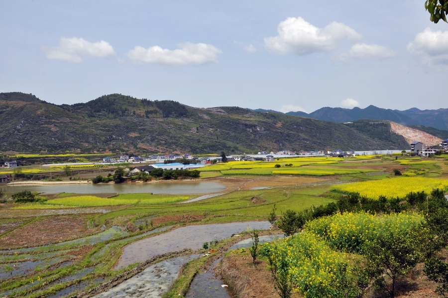 後坪田園春色美