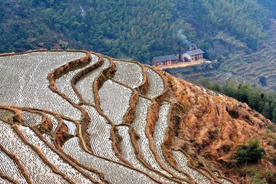 【遂川左安桃源梯田风光摄影图片】遂川左安桃源风光旅游摄影_太平洋