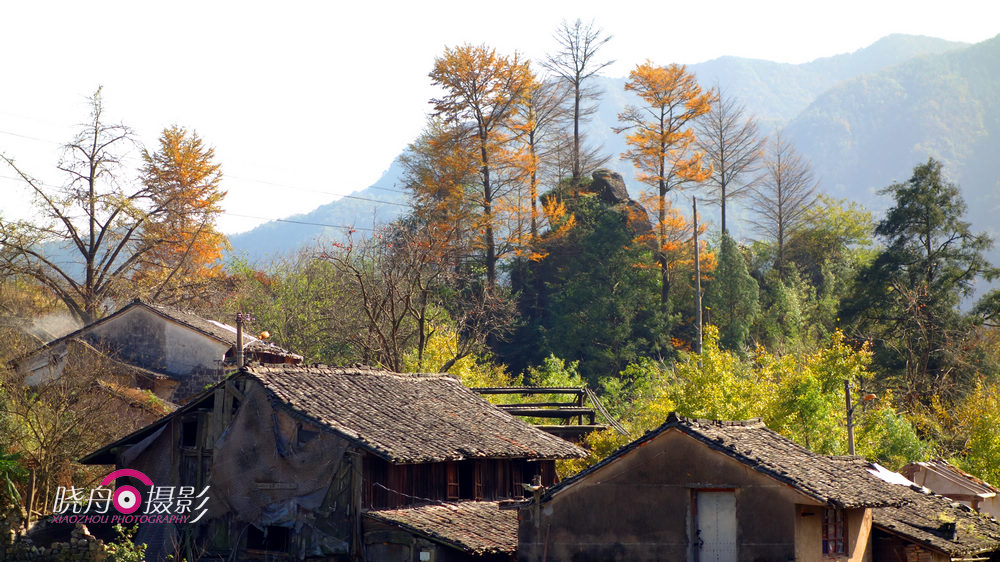 消失的村落—寧波鄞州古樹村