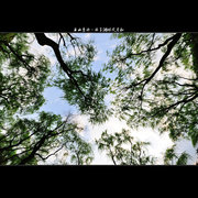 ɽˮӺϷ֪