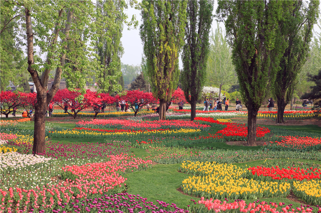 北京植物園