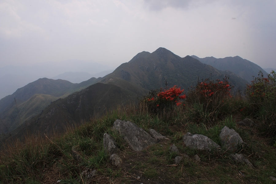 九連山之巔