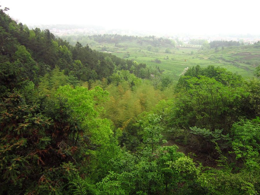 太湖小雷山图片