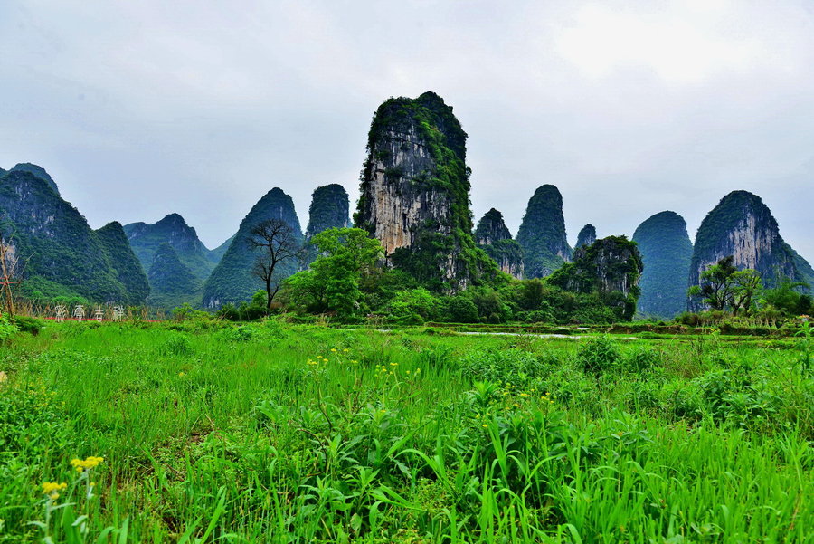 桂林奇峰山图片