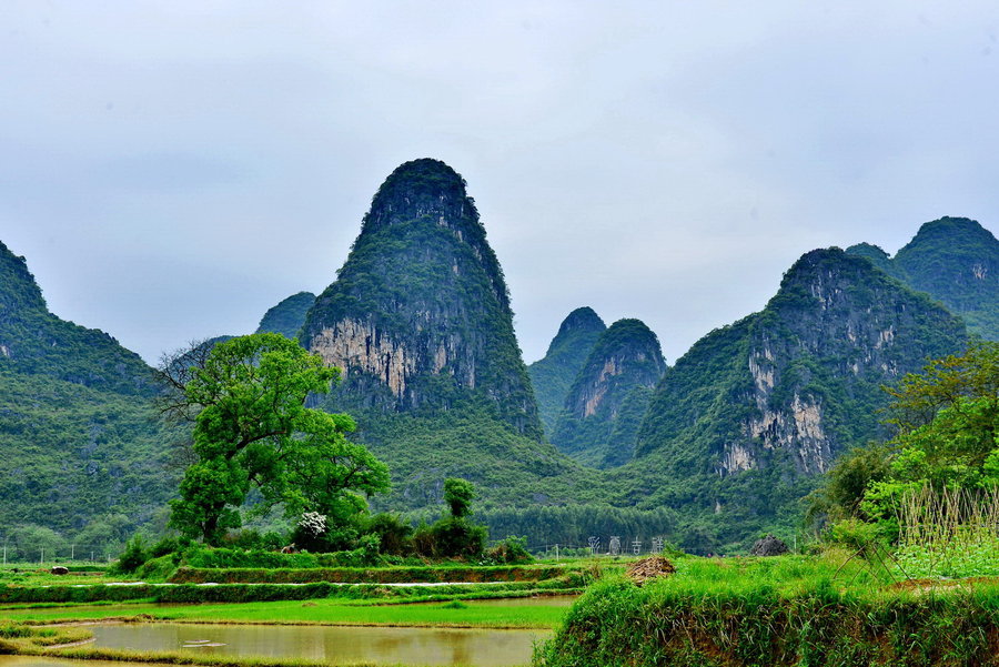 桂林奇峰山图片