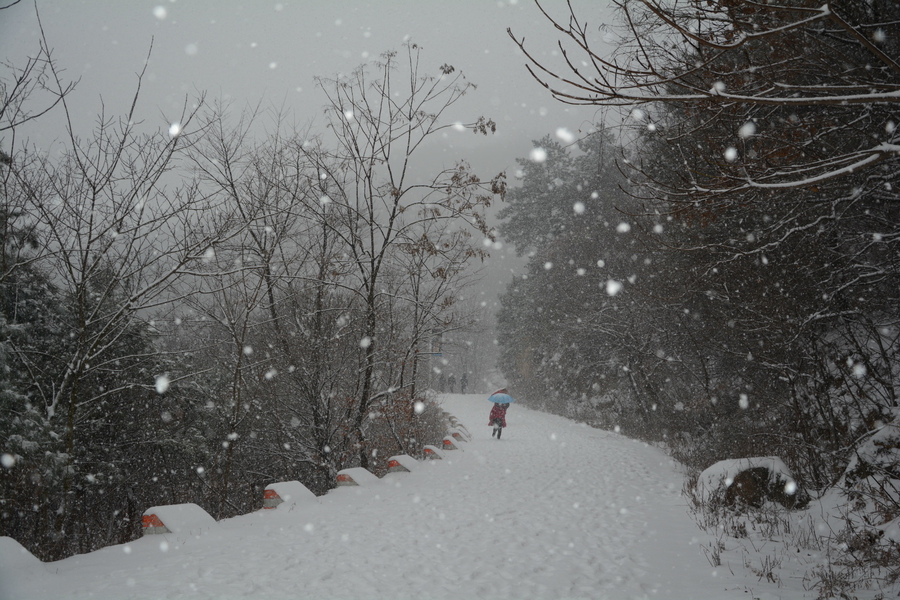 雪舞