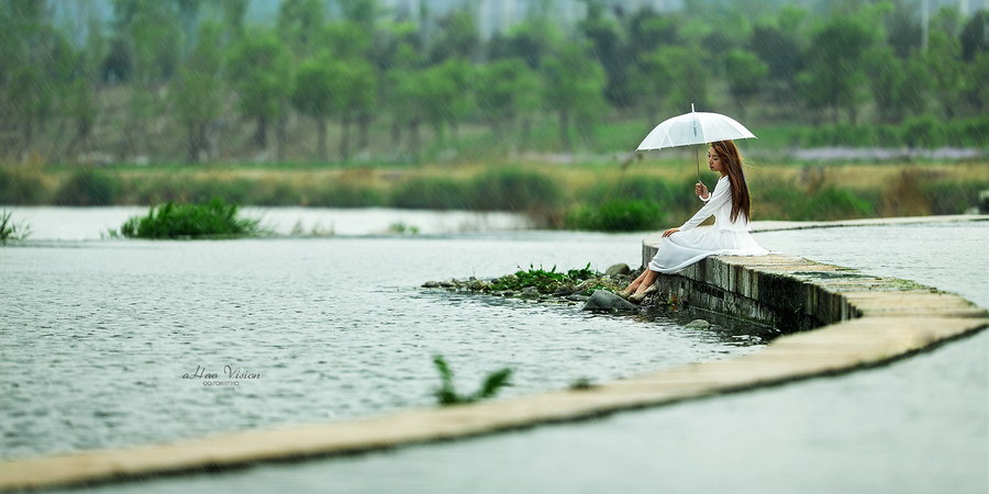 心雨