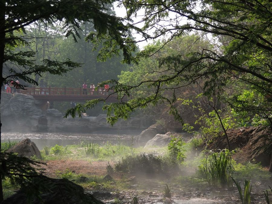 北京植物园樱桃沟喷雾图片