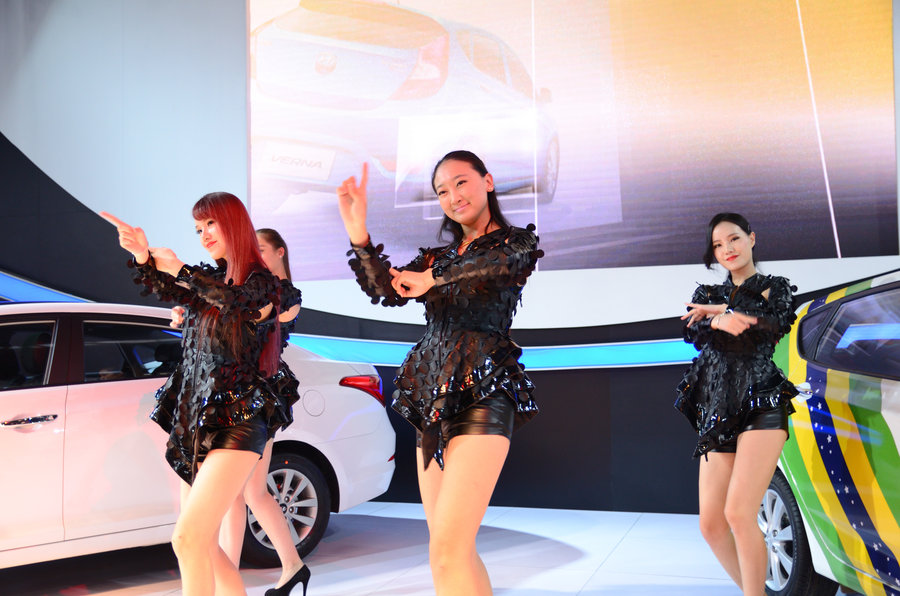 2014ݳչ