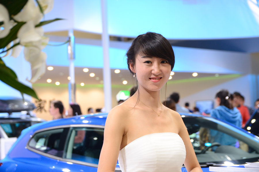 2014ݳչ