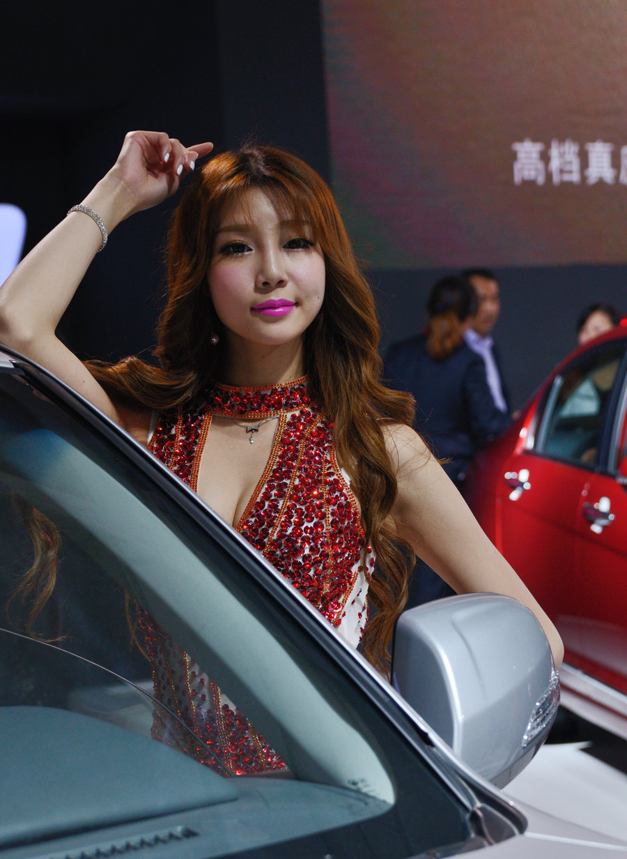 2014ݳչ