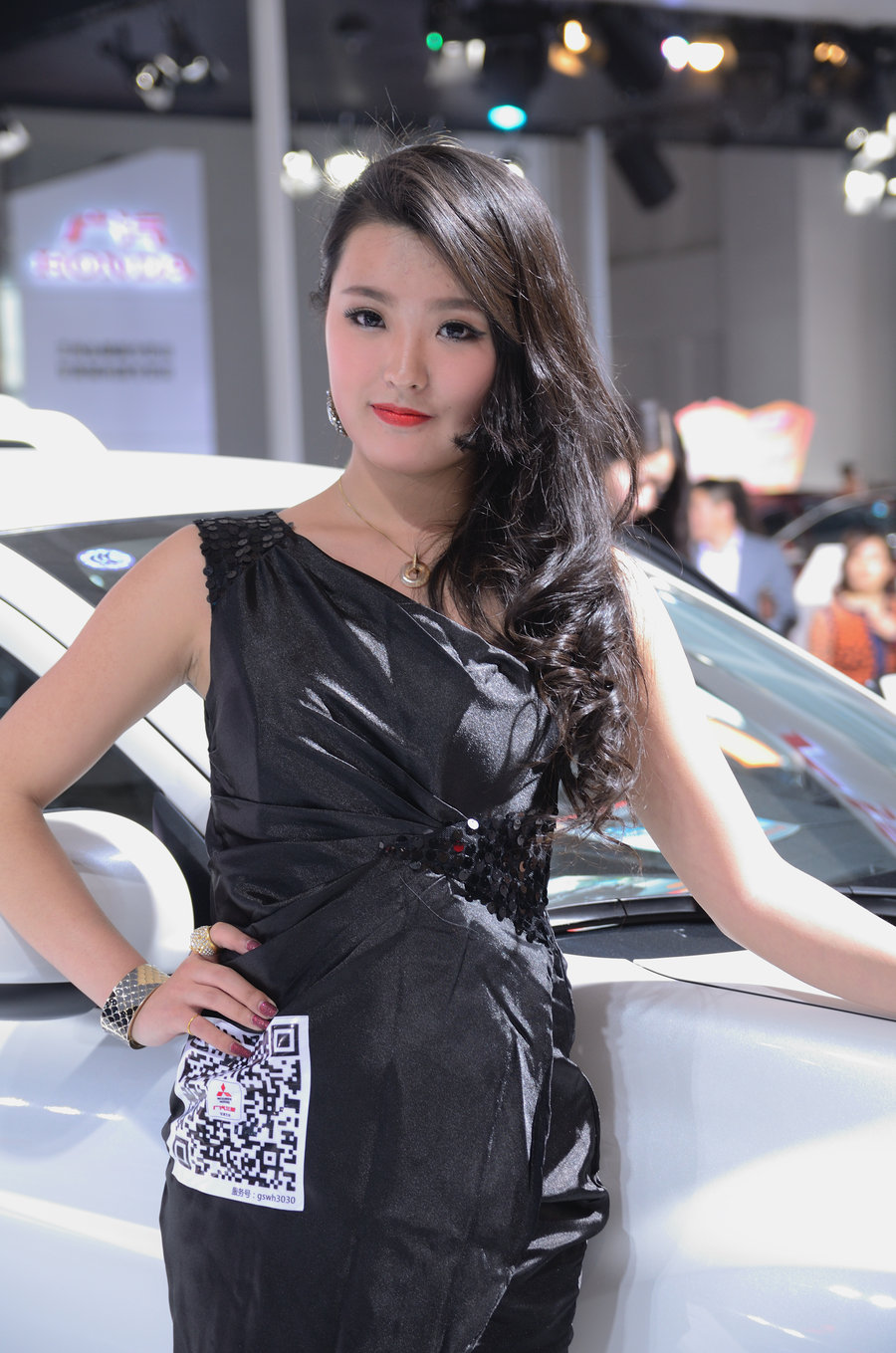 2014ݳչ