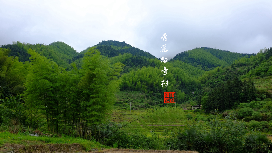 秀丽白寺村《爸爸去哪儿》平江拍摄地掠影