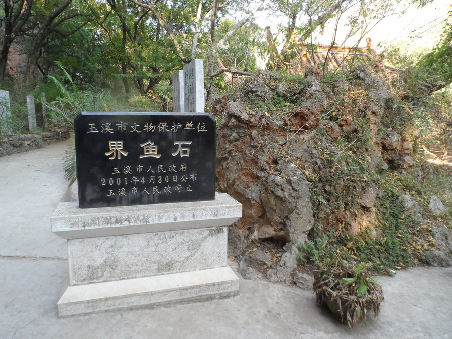 江川界鱼石传说图片