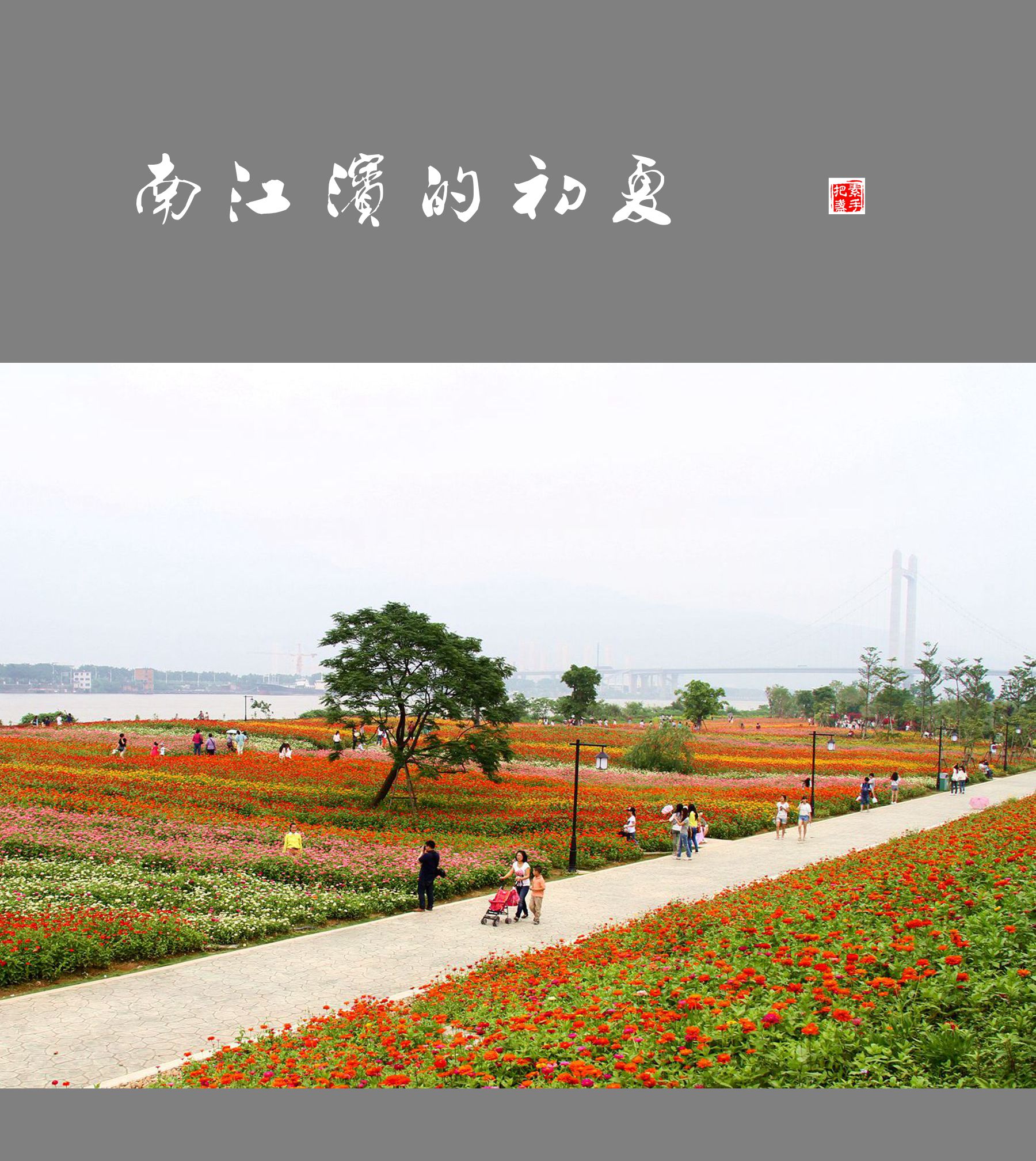 福州南江滨公园图片