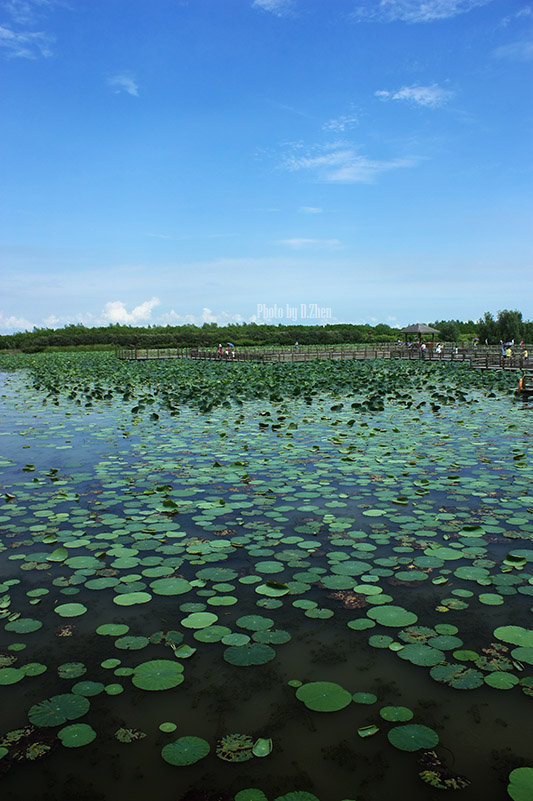 南沙溼地公園