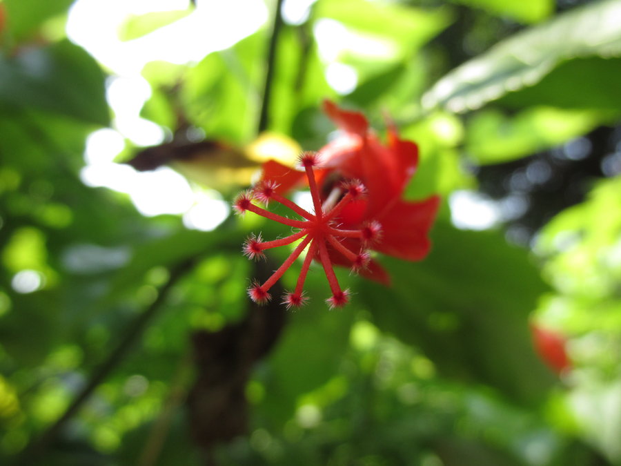 Powershot SX170 ISʵƬ