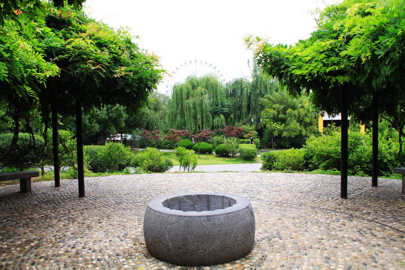 杏花公園:邊走邊拍的風景!