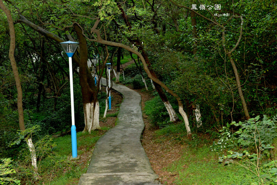 【鳳嶺公園攝影圖片】生活攝影_太平洋電腦網攝影部落