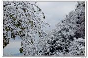 雪景（四）