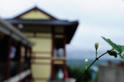 黄陂白龙寺