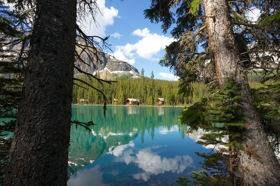 Lake of OHara and Oesa