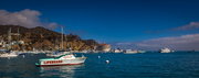 Catalina Island (1)