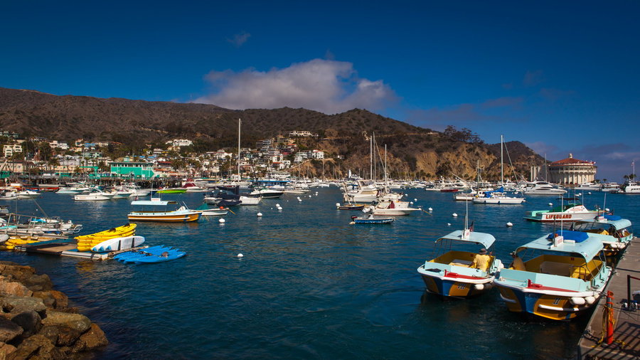 Catalina Island (1)