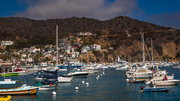 Catalina Island (1)