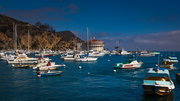 Catalina Island (1)