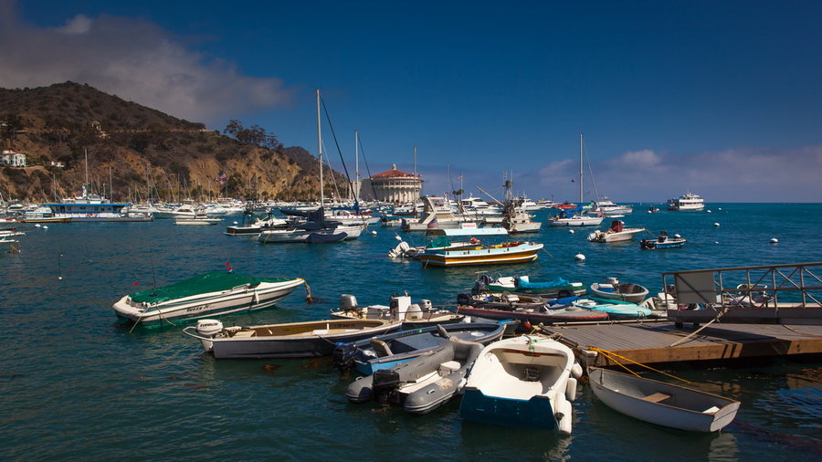 Catalina Island (1)