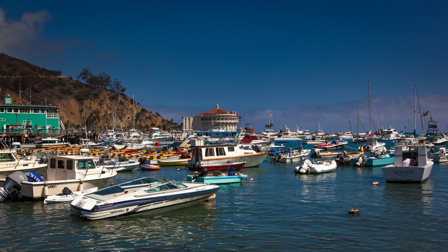 Catalina Island (1)