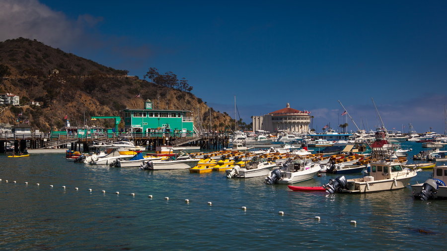 Catalina Island (1)