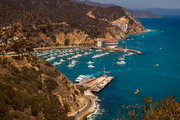 Catalina Island (2)