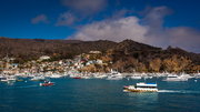 Catalina Island (3)