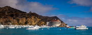 Catalina Island (3)