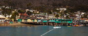 Catalina Island (3)