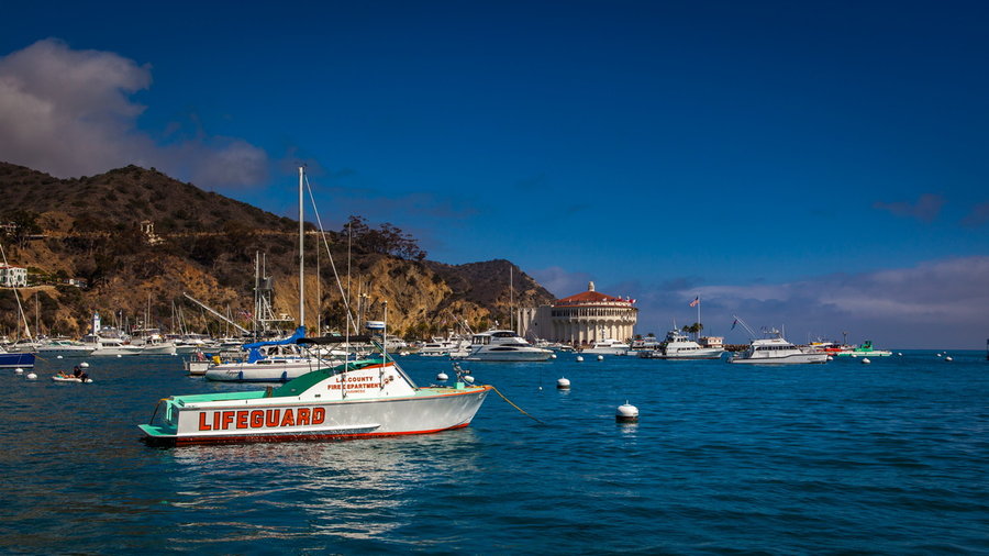 Catalina Island (4)