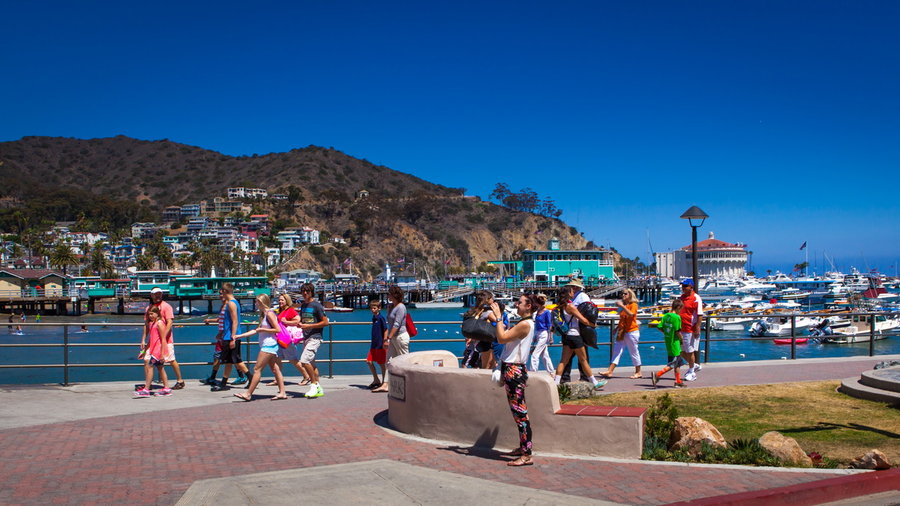 Catalina Island (5)