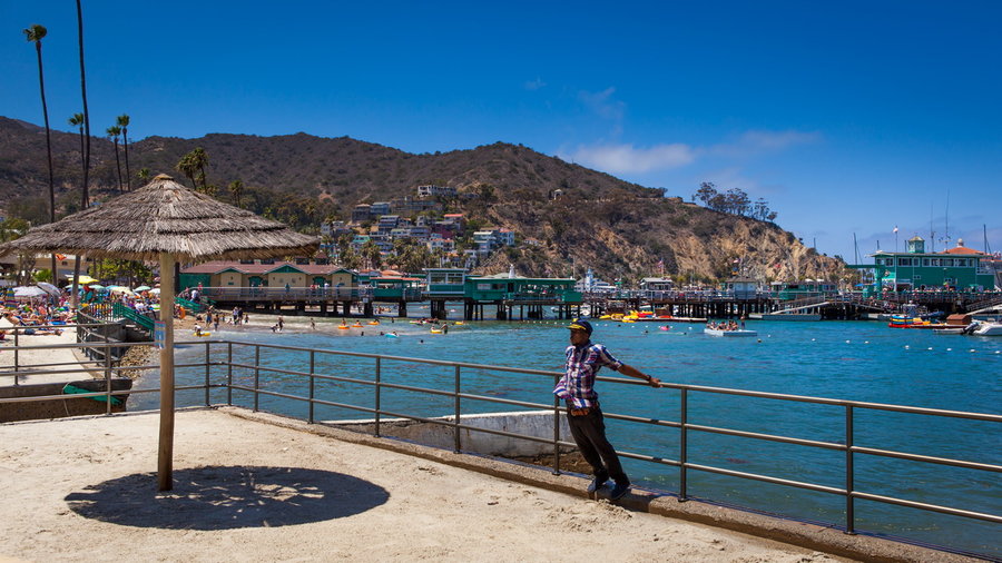 Catalina Island (5)