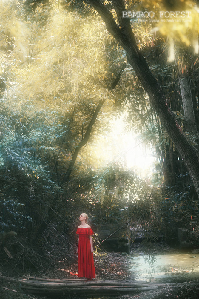 BAMBOO FOREST