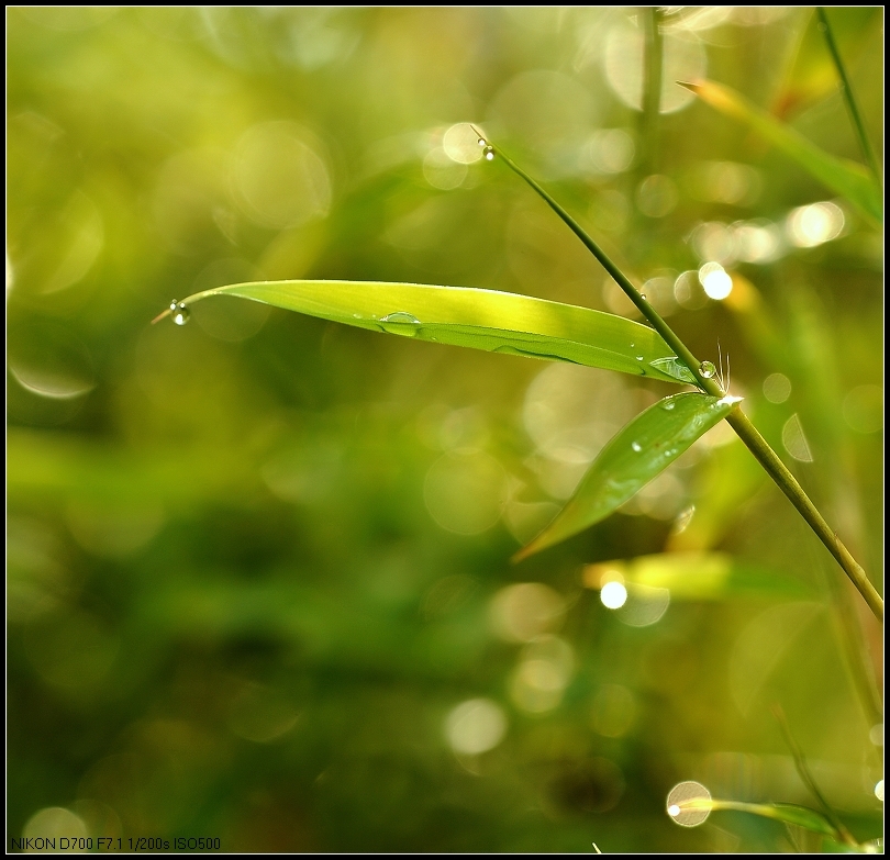 雨后天晴