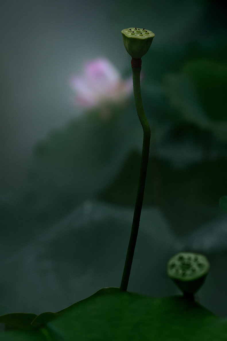 ֮-1