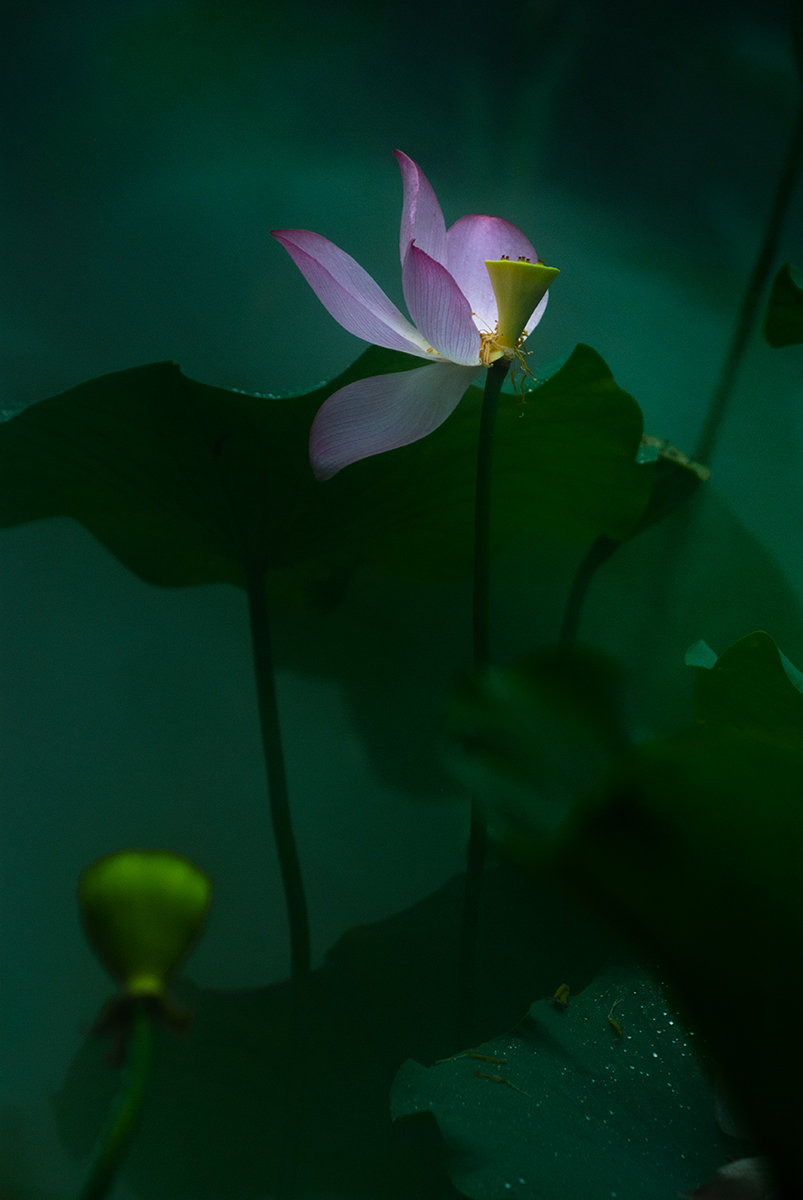 ֮-1