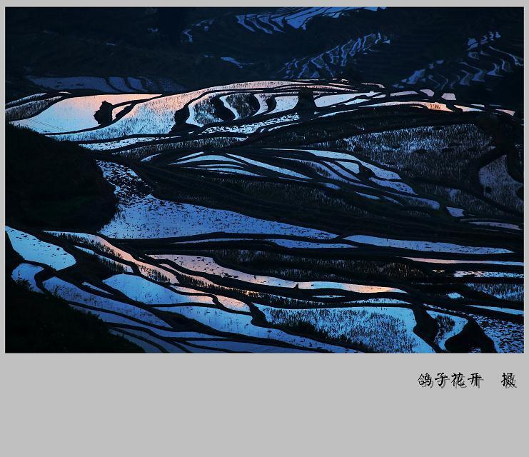 ϼε