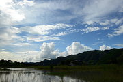 家乡行～湿地风光